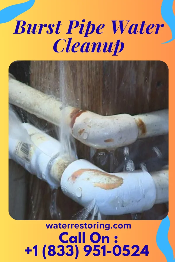 Burst Pipe Water Cleanup in Grandview, IL