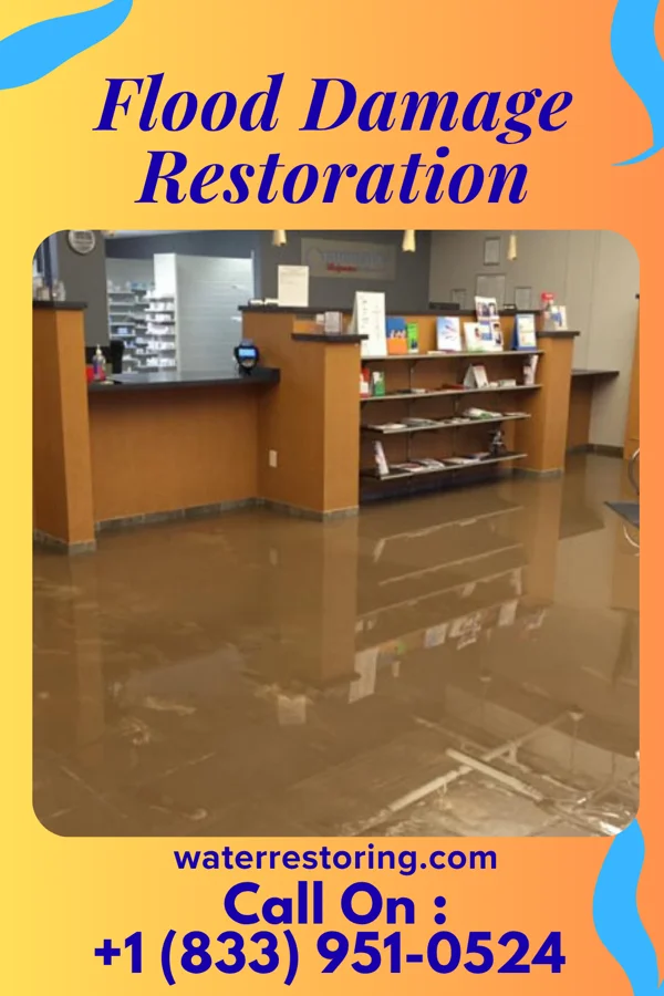 Flood Damage Restoration in Grandview, IL