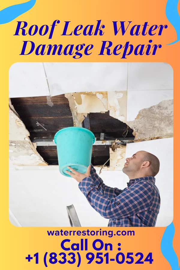 Roof Leak Water Damage Repair in Grandview, IL