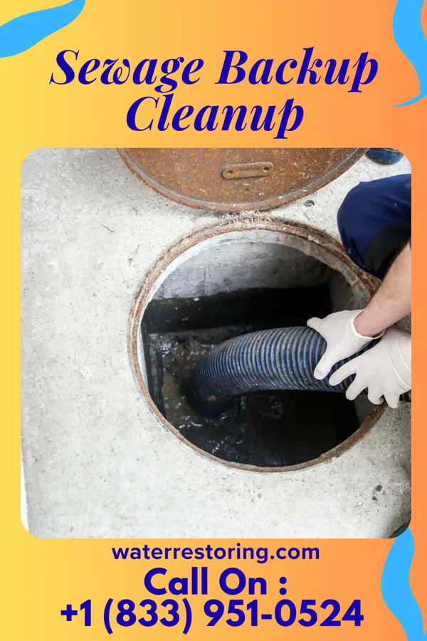 Sewage Backup Cleanup in Grandview, IL