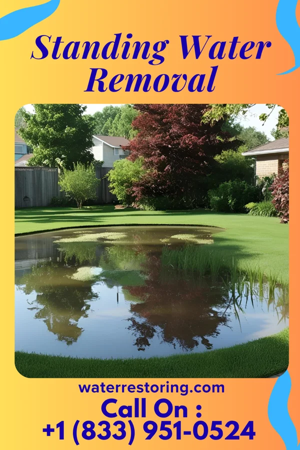 Standing Water Removal in Grandview, IL